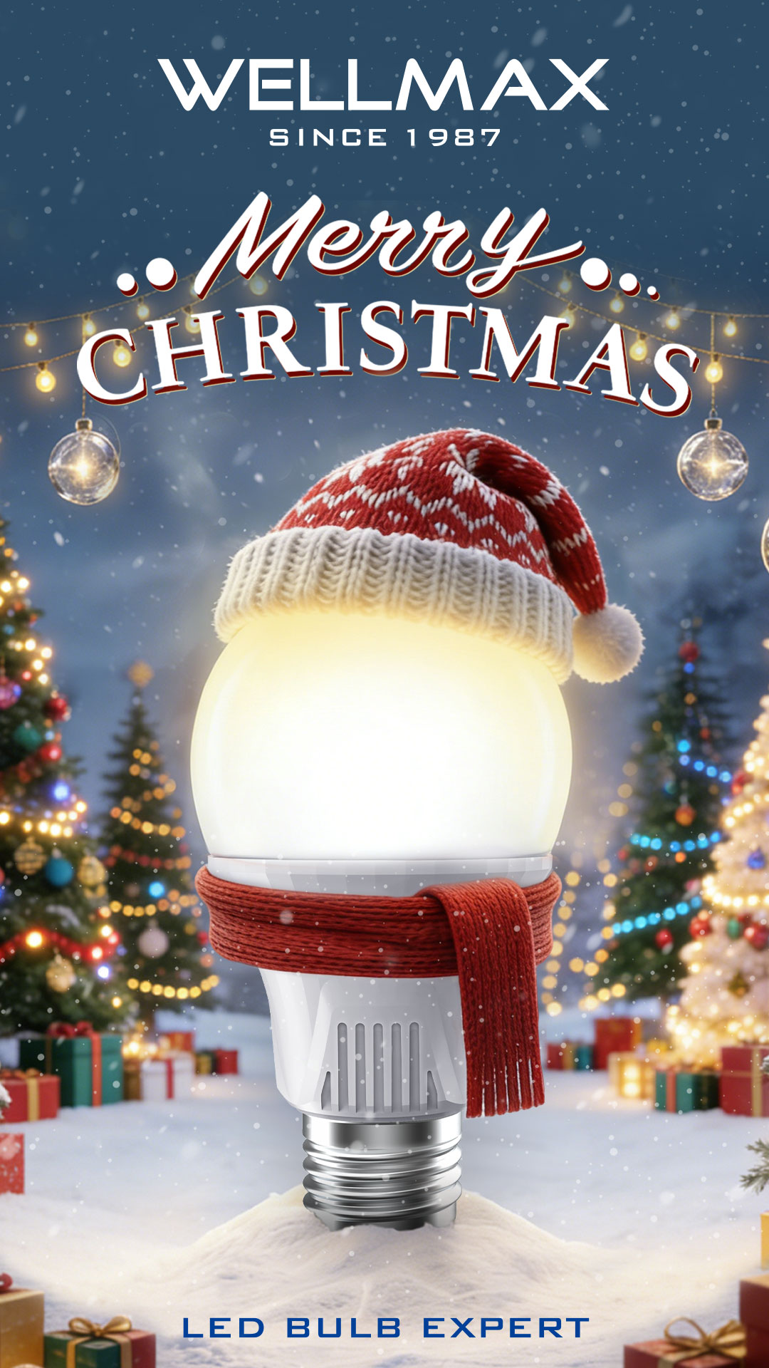 Merry Christmas from WELLMAX! 