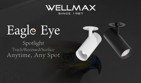 Eagle Eye Spotlight