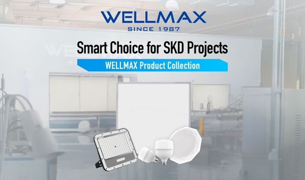 Smart Choice for SKD Projects