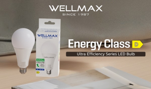 Energy Class D LED Bulb