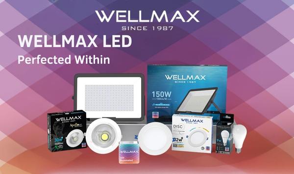 WELLMAX LED