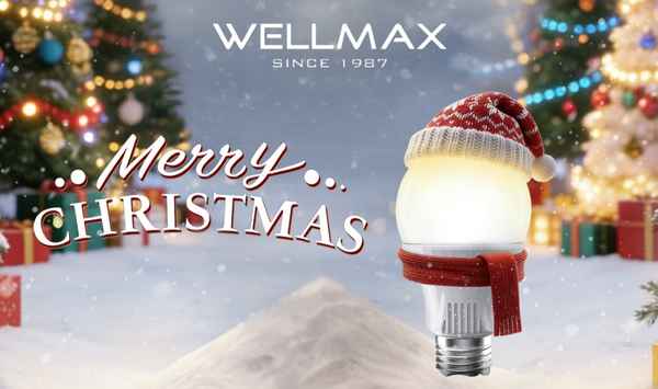 Merry Christmas from WELLMAX!