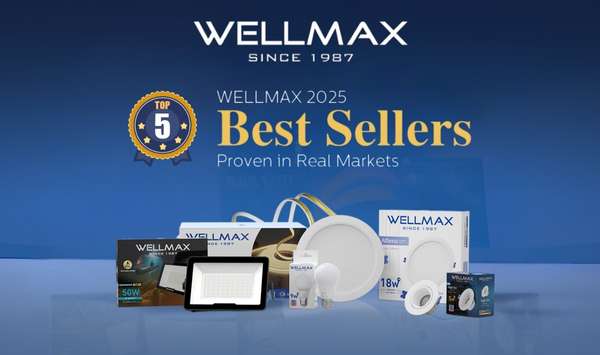 WELLMAX 2025 Best Sellers
