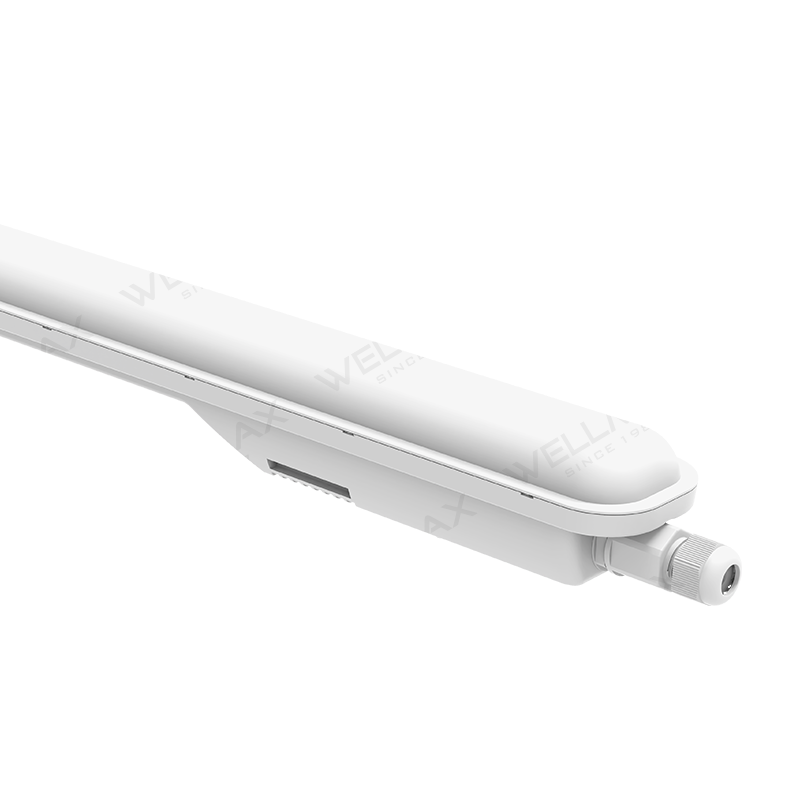 Tri-proof Lights