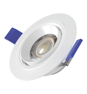 Eagle Eye Spotlight
