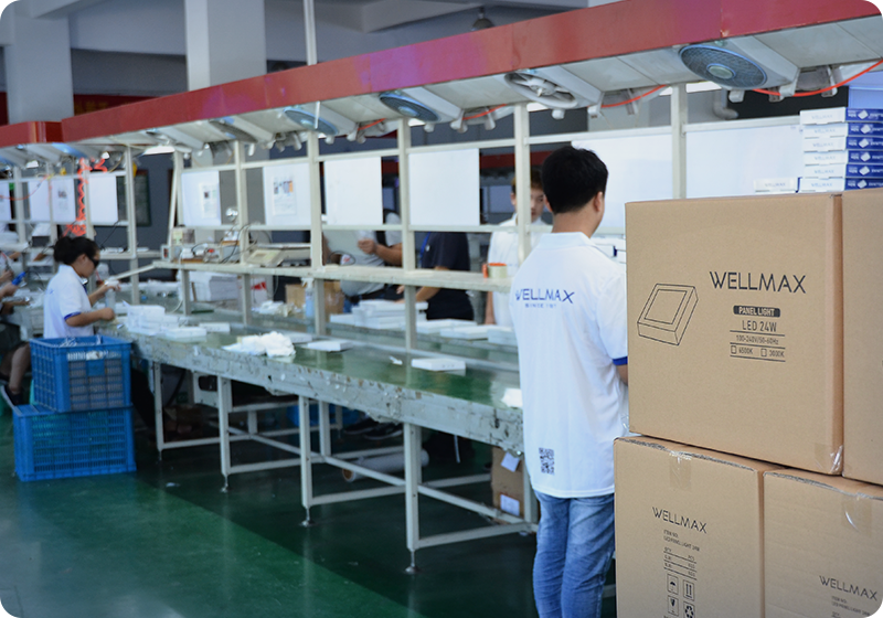 Wellmax Assembly Package